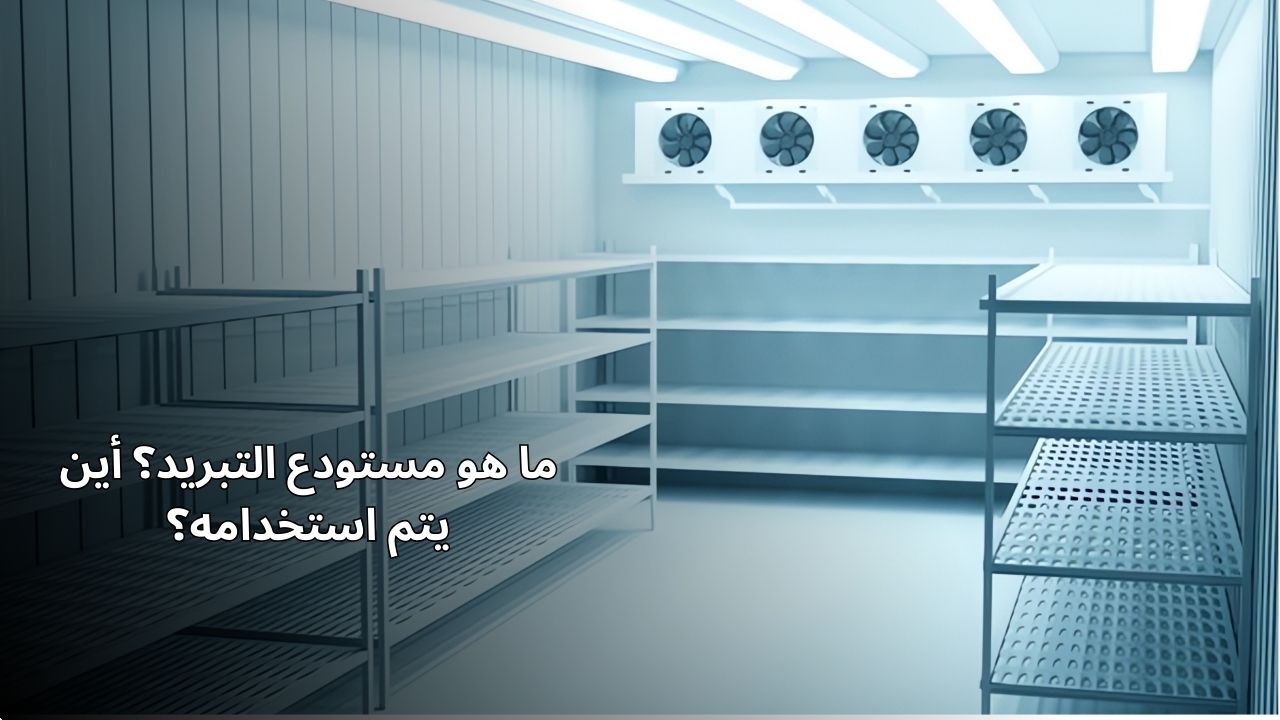 What is a Cold Storage Facility? Where is it Used?